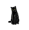 Schwarze Katze