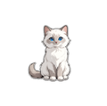 Weiße Katze