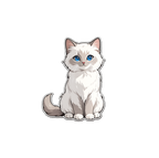 Weiße Katze