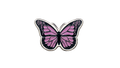 Schmetterling