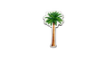 Palme