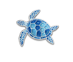 Schildkröte