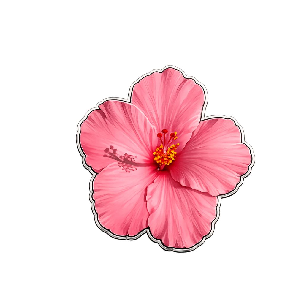 Hibiskusblüte Rosa